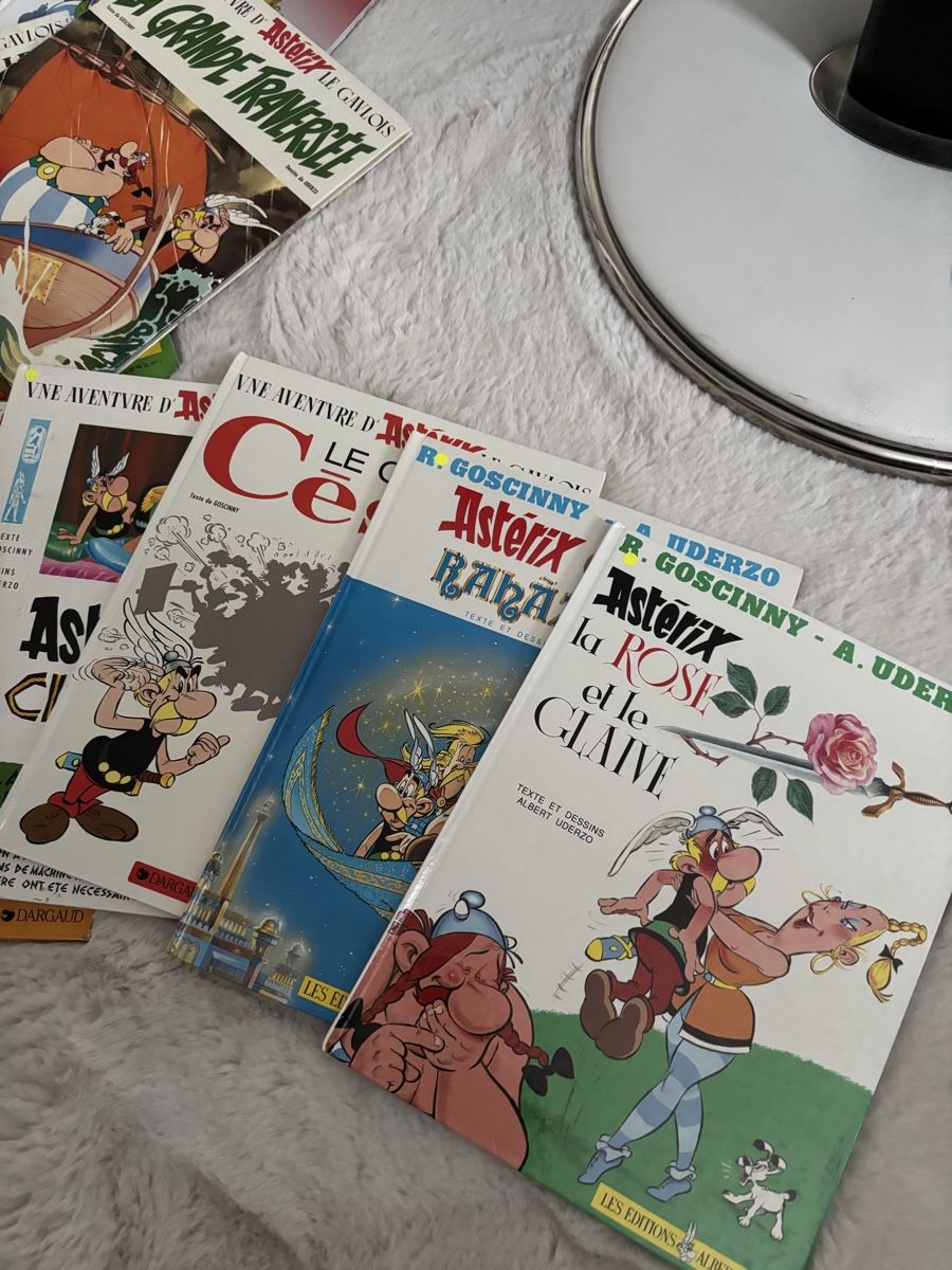 Fumetti: Asterix Comics  14 Stk guter Zustand – Usato da Nottwil venduto da Mountainbiker63 1