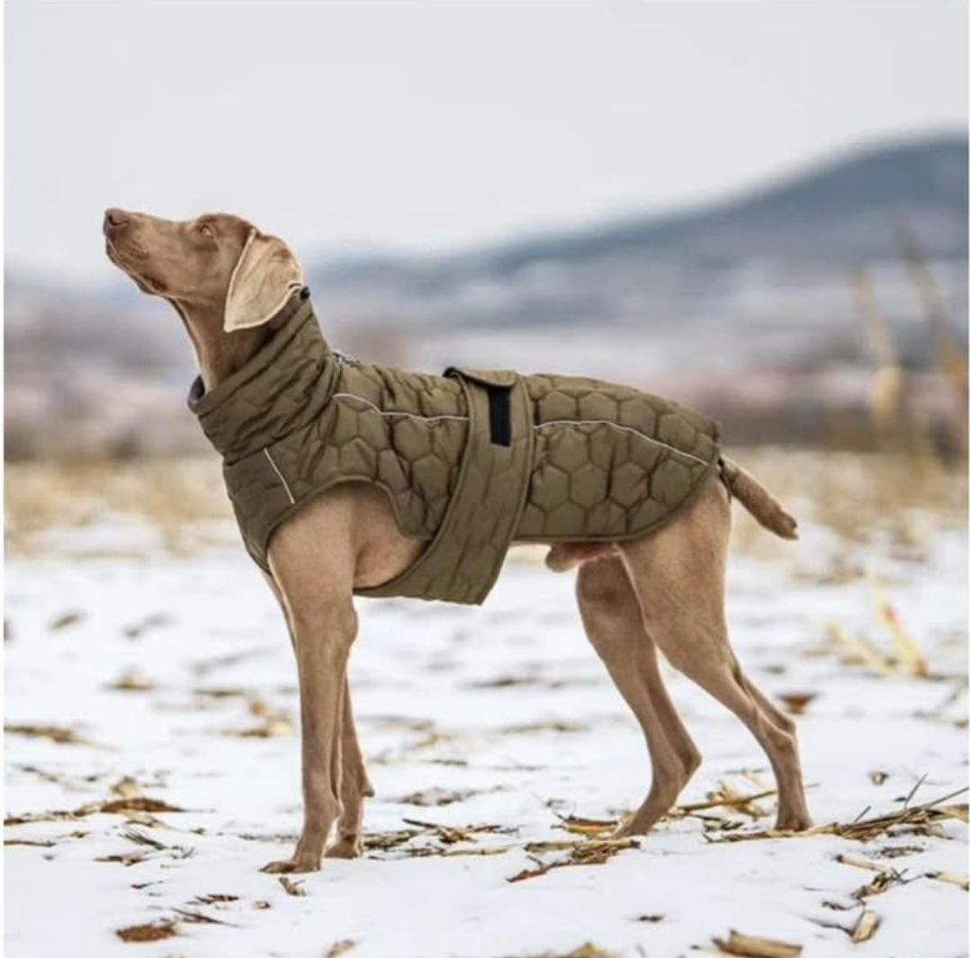 Abbigliamento: Hundemantel Hexagon – Nuovo e nell'imballaggio originale da Suhr venduto da Leo2567