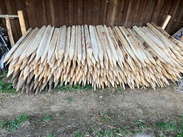 Recinzioni: Zu verkaufen Zaunpfähle – Usato da Hergiswil LU venduto da Schnidi96
