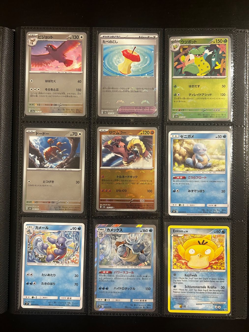 Pokémon Carte collezionabili: Pokemon Sammlung (Teil 2) – Nuovo (secondo la descrizione) da Zürich venduto da car_rbg5 6