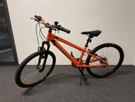Velo 24 Zoll
