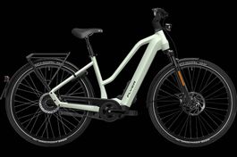 NEU E-BIKE FLYER 45KM/H | 95NM & 750WH FIT PANASONIC