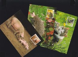 Maximumkarten: Schweizer Tierschutz - Heimtiere 7.9.2004