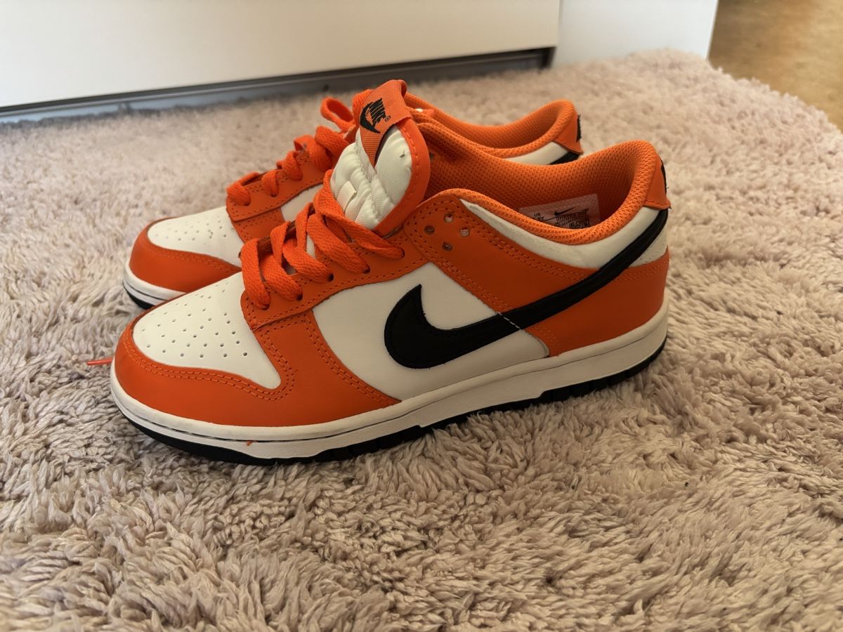 Nike Scarpe da uomo: Nike Dunk Low Sneaker – Nuovo (secondo la descrizione) da Rechthalten venduto da Stephi_03