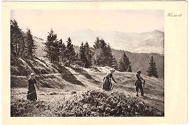 Schweizer Heimatgeschichte (im Bernbiet)? ca. 1910 (MOT)