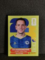 Panini Wm 2026 Sticker :Amir Hadziahmetovic Bih 8