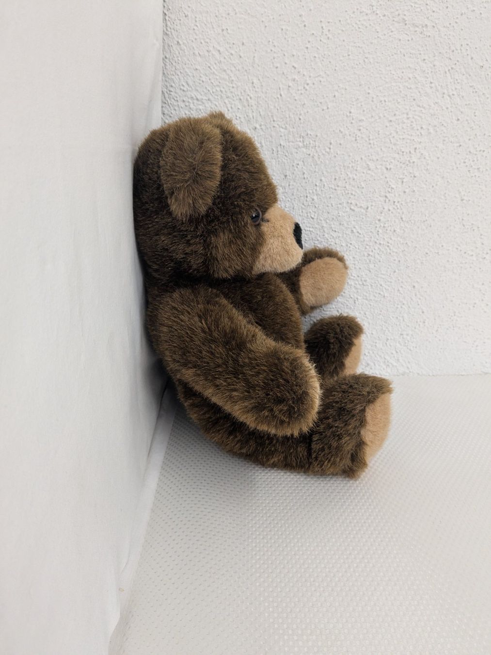 Steiff Spielzeuge: Steiff Teddybär 021725 - Top Zustand – Gebraucht aus Weinfelden von blaukreuz_brocki_TG 1