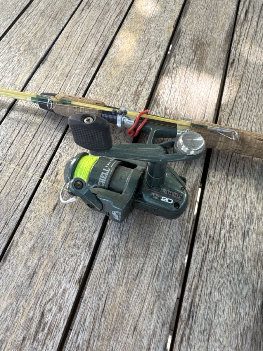 Canne da pesca: Angelrute mit Mitchell VX20 Rolle – Usato da Nussbaumen TG venduto da boltsi_87 1