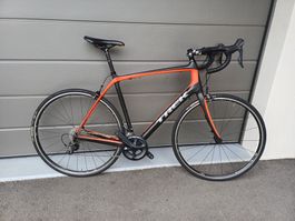 Rennrad Trek Domane Carbon