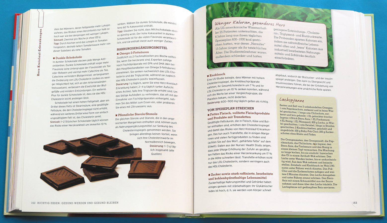 Libri: Richtig essen - gesund bleiben – Usato da Bern venduto da imp_kln9 3