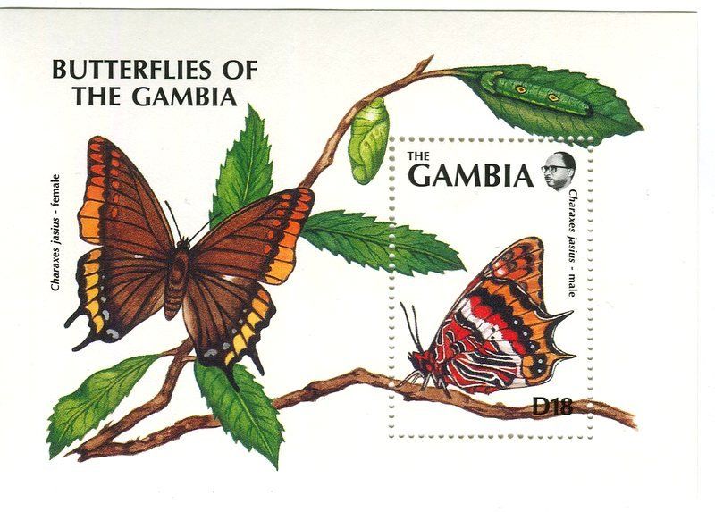Tous les timbres: Block "Schmetterlinge". Gambia. – Neuf avec emballage d'origine à Basel par Butsch5