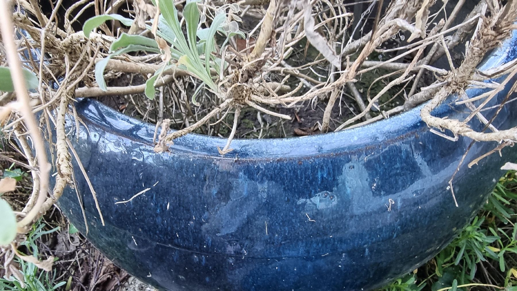 Vasi per fiori: Blumentopf Keramik dunkelblau – Usato da Twann venduto da MW51 4