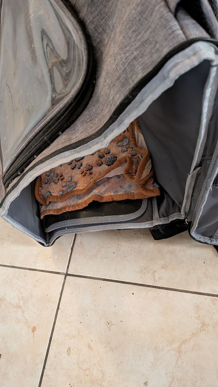 Cucce & Letti: Hunde Transport Rucksack oder Ziehwagen  – Nuovo (secondo la descrizione) da Wattenwil venduto da karinschaw 2