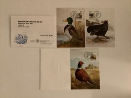 FL-Jagd Maximum Karten Nr. 97, 1990, Satz komplett, Rarität