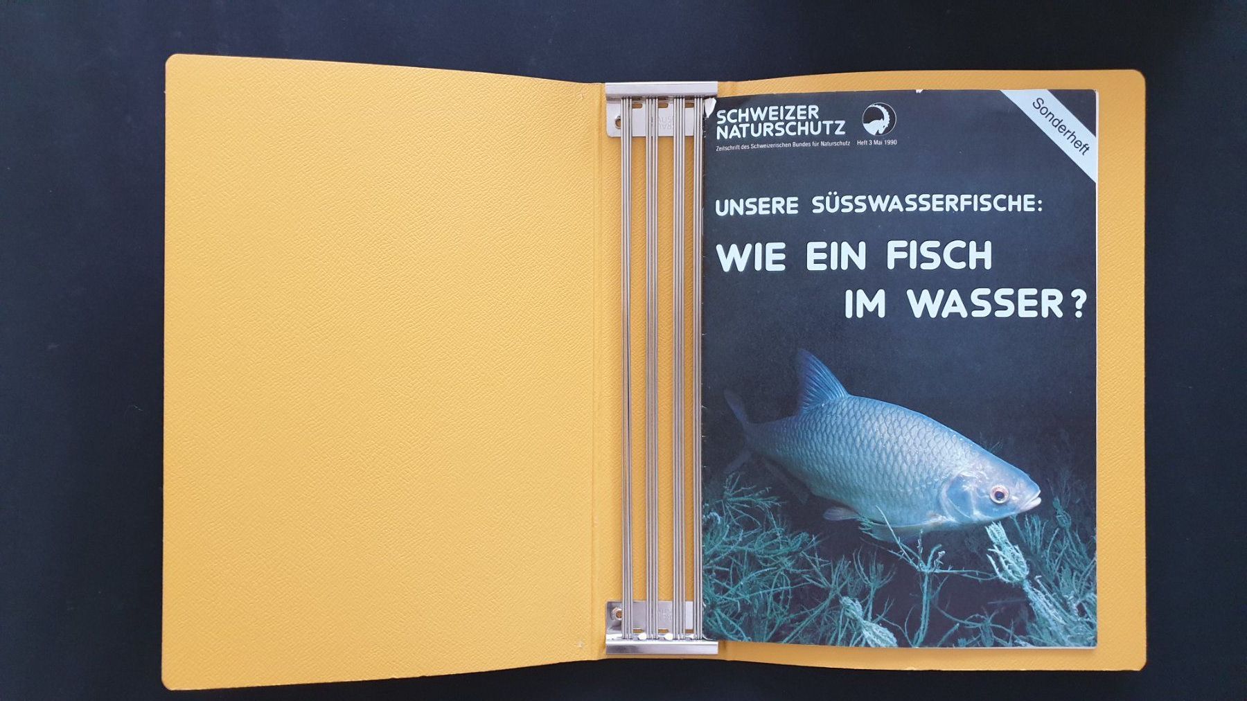 Raccoglitori: Für Panda- und Schweizer-Naturschutz-Magazine – Usato da Goldach venduto da armando_r 4