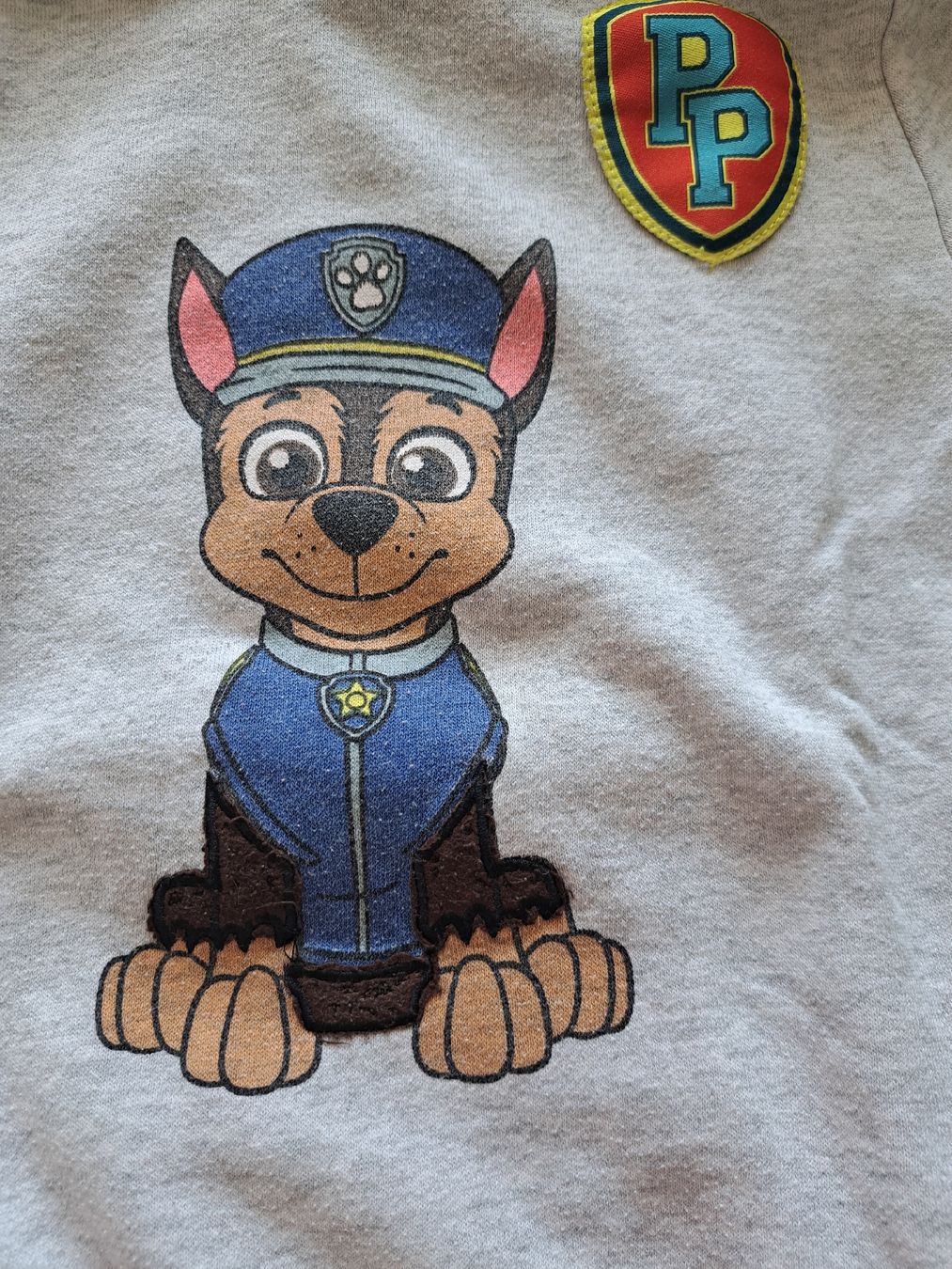 Maglioni & Felpe: Pullover PAW PATROL 🐾,  Gr. 110 – Usato da Seuzach venduto da nadine.baur84 1