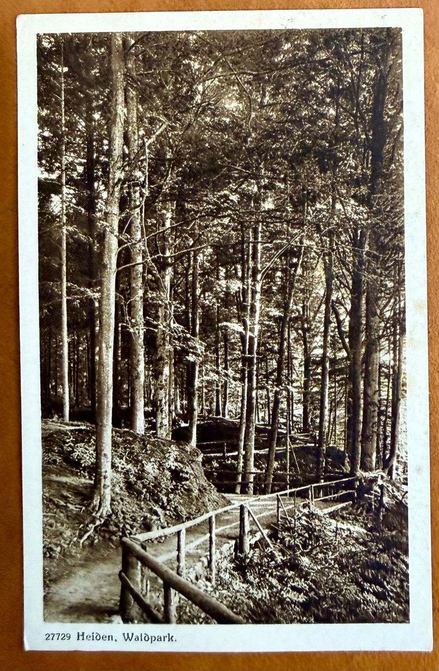 Cartes postales: Heiden - Waldpark 1926 – D'occasion à Lutry par Ediego