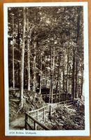 Heiden - Waldpark 1926