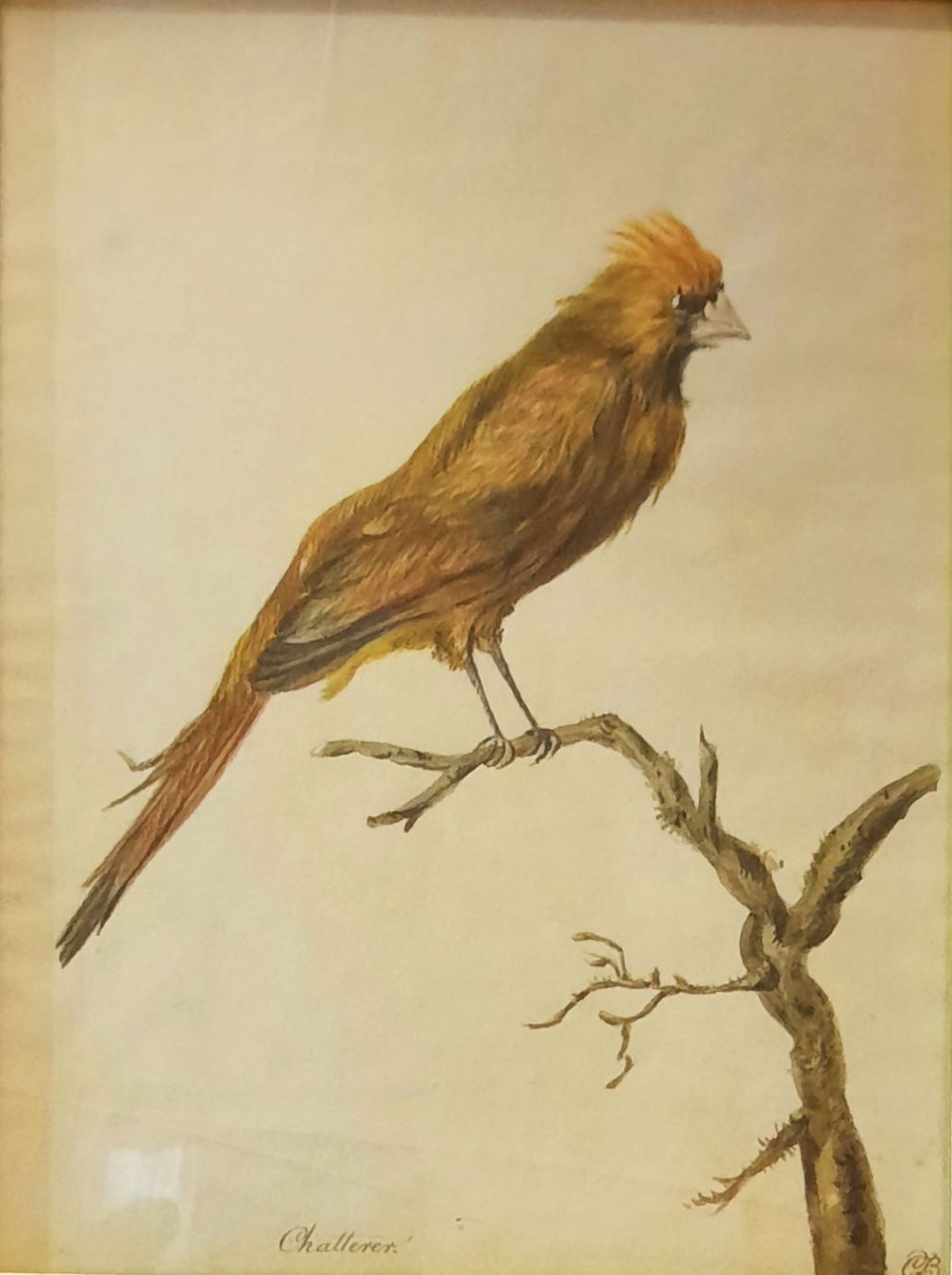 Dipinti: BELLE AQUARELLE 18/19ÈME SIÈCLE MONOGRAMMÉE  – Usato da Genève venduto da Enigme8 1
