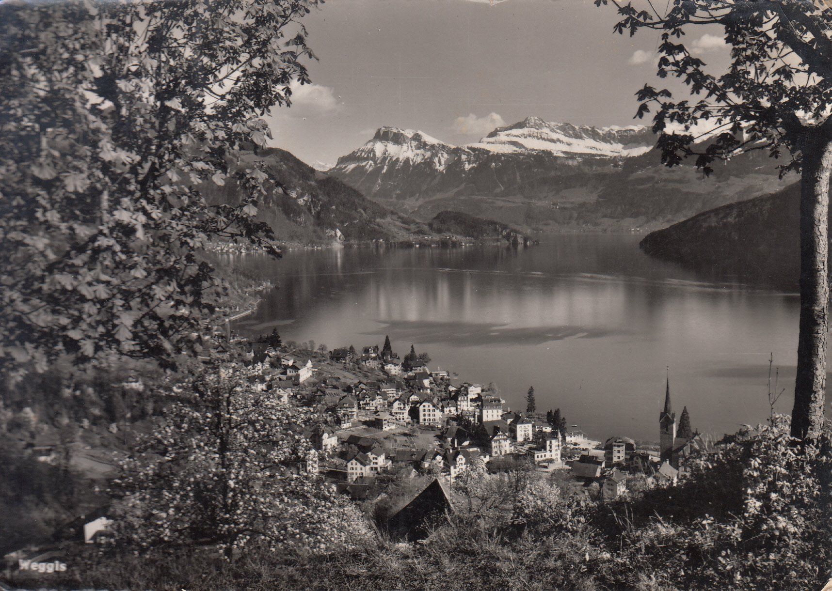 Cartoline postali: Weggis 1953 – Usato da Bürglen TG venduto da StampGraf