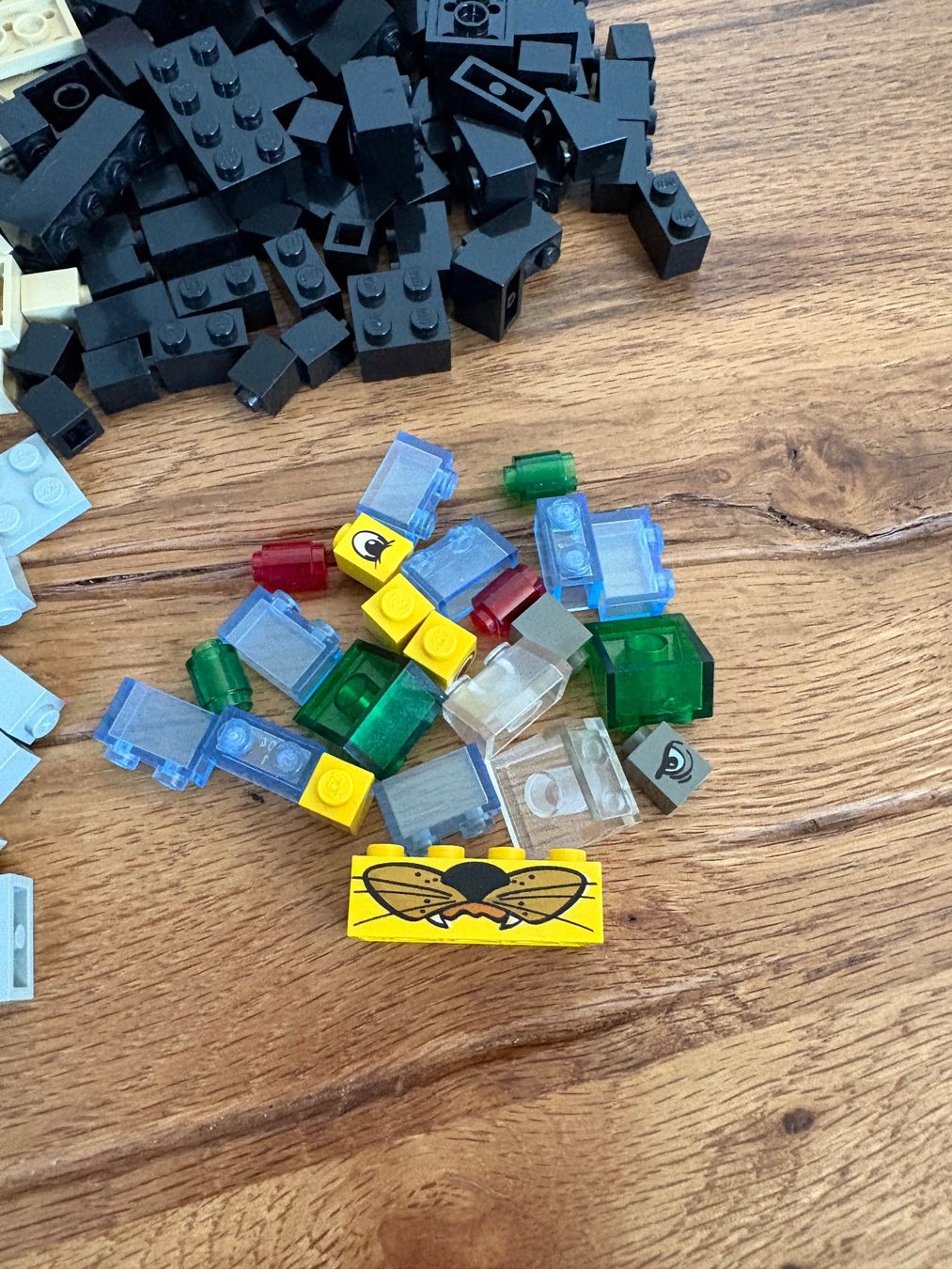 Lego Giocattoli: LEGO Create and Imagine 4013 – Usato da Wollerau venduto da per_q7wn 4