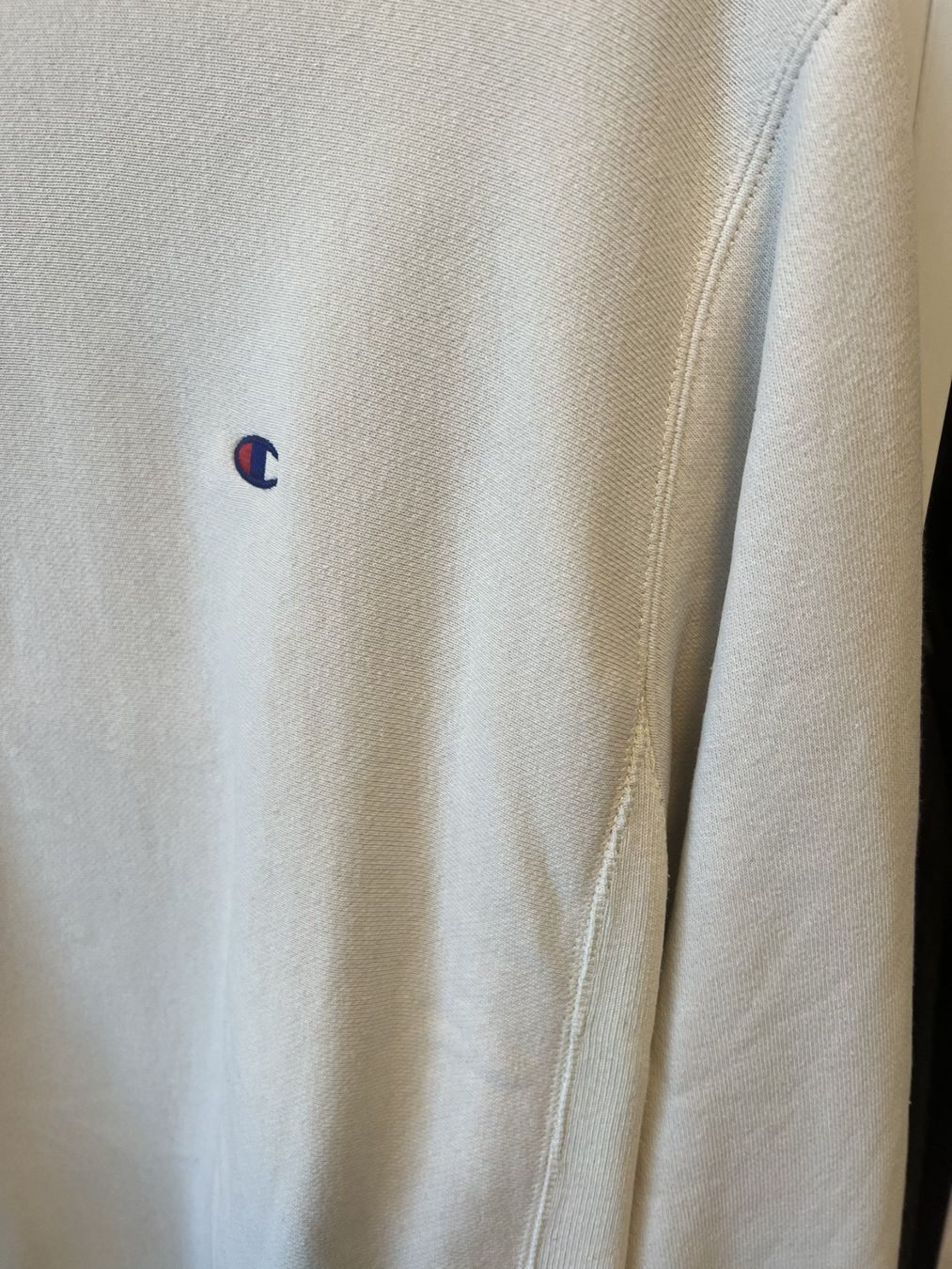 Champion Maglioni & Felpe: Champion Sweatshirt – Usato da Bülach venduto da deinmica 1
