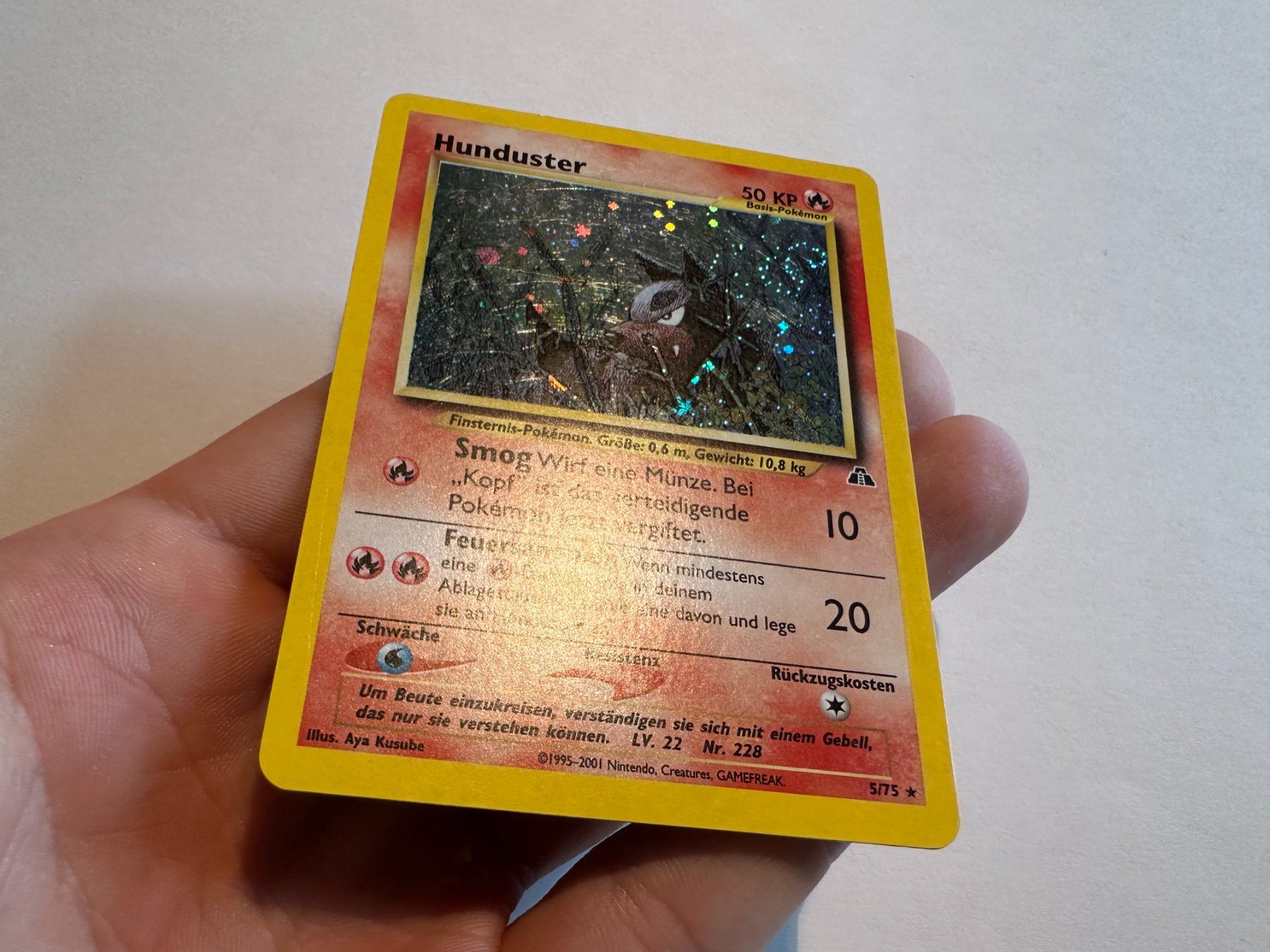 Pokémon Carte collezionabili: Hunduster holo Neo Entdeckung DE – Usato da Hagendorn venduto da Pokecollectorch 1