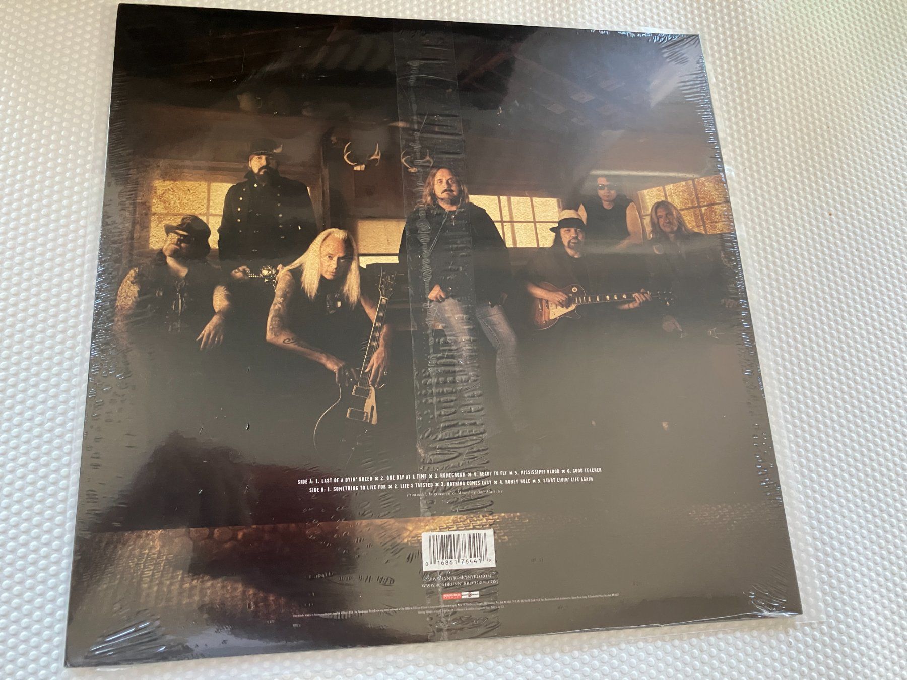 Dischi in vinile: Lynyrd Skynyrd – Nuovo e nell'imballaggio originale da Aarwangen venduto da Jukebox3 3