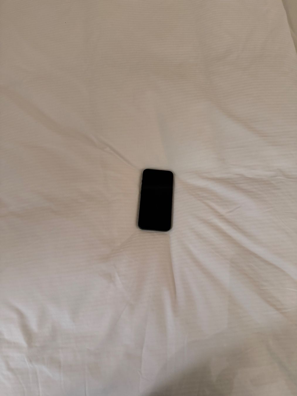Apple Telefoni cellulari / Smartphones: IPhone 13 – Usato da St. Gallen venduto da mat_qd8n