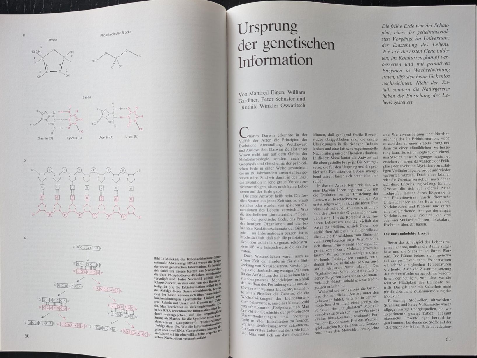 Livres: Spektrum der Wissenschaft: Evolution – D'occasion à Thalwil par sultan03 7