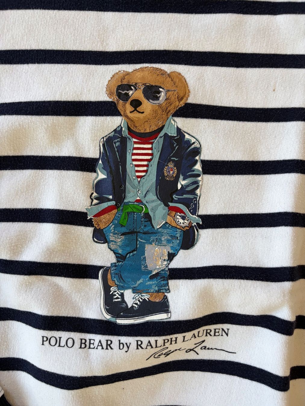 Polo Ralph Lauren Maglioni & Felpe: Polo Ralph Lauren Teddy Pullover – Usato da Volketswil venduto da las_yx59 1