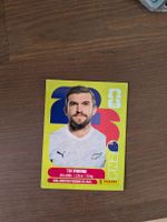 Panini NZL 6