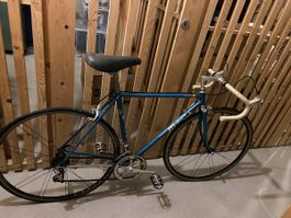 Fahrrad Francesco Moser