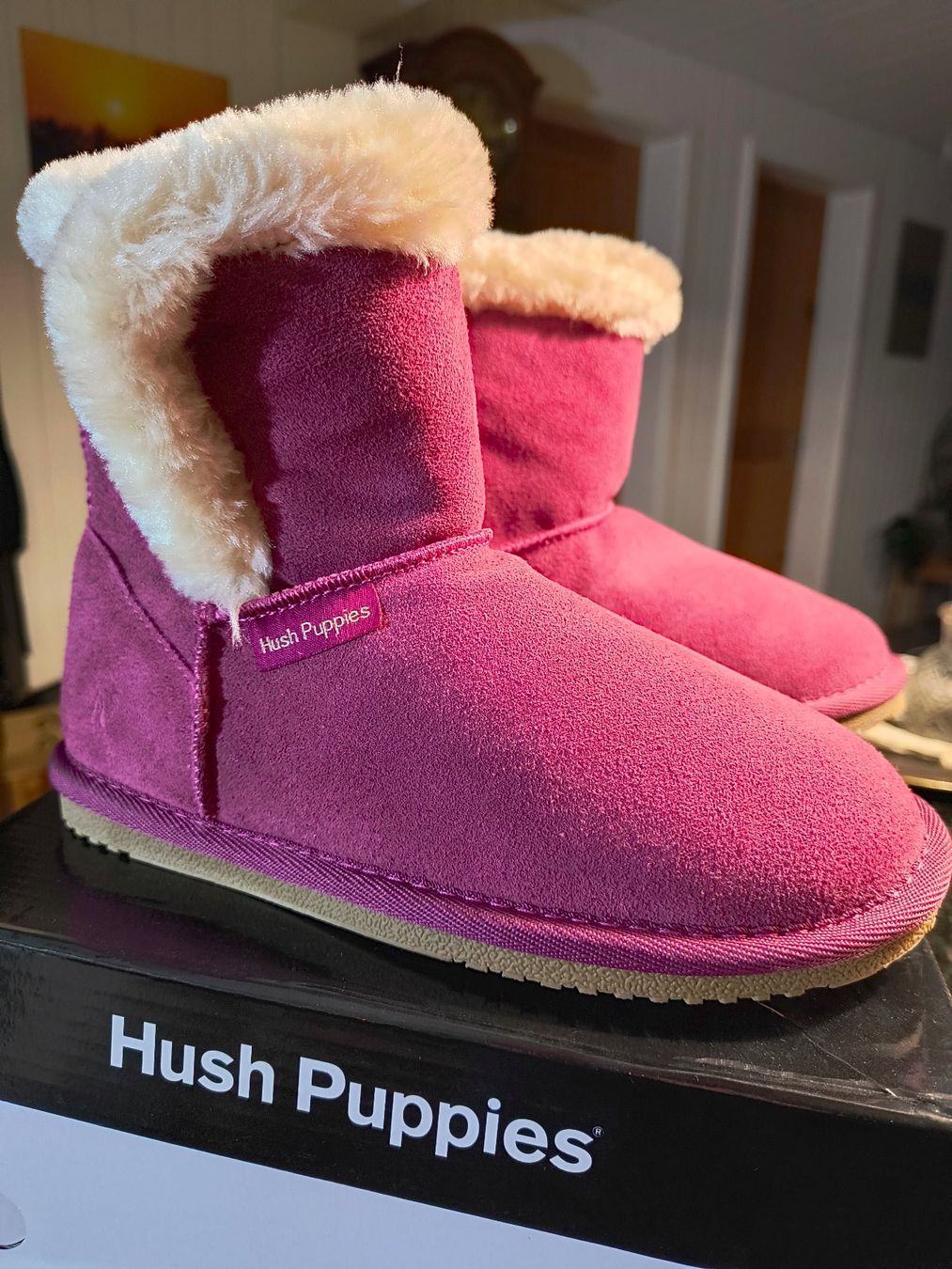 Scarpe da uomo: Hausschuhe Hush Puppies Grösse 36 – Nuovo e nell'imballaggio originale da Rickenbach Sulz venduto da absolutelyfabulous
