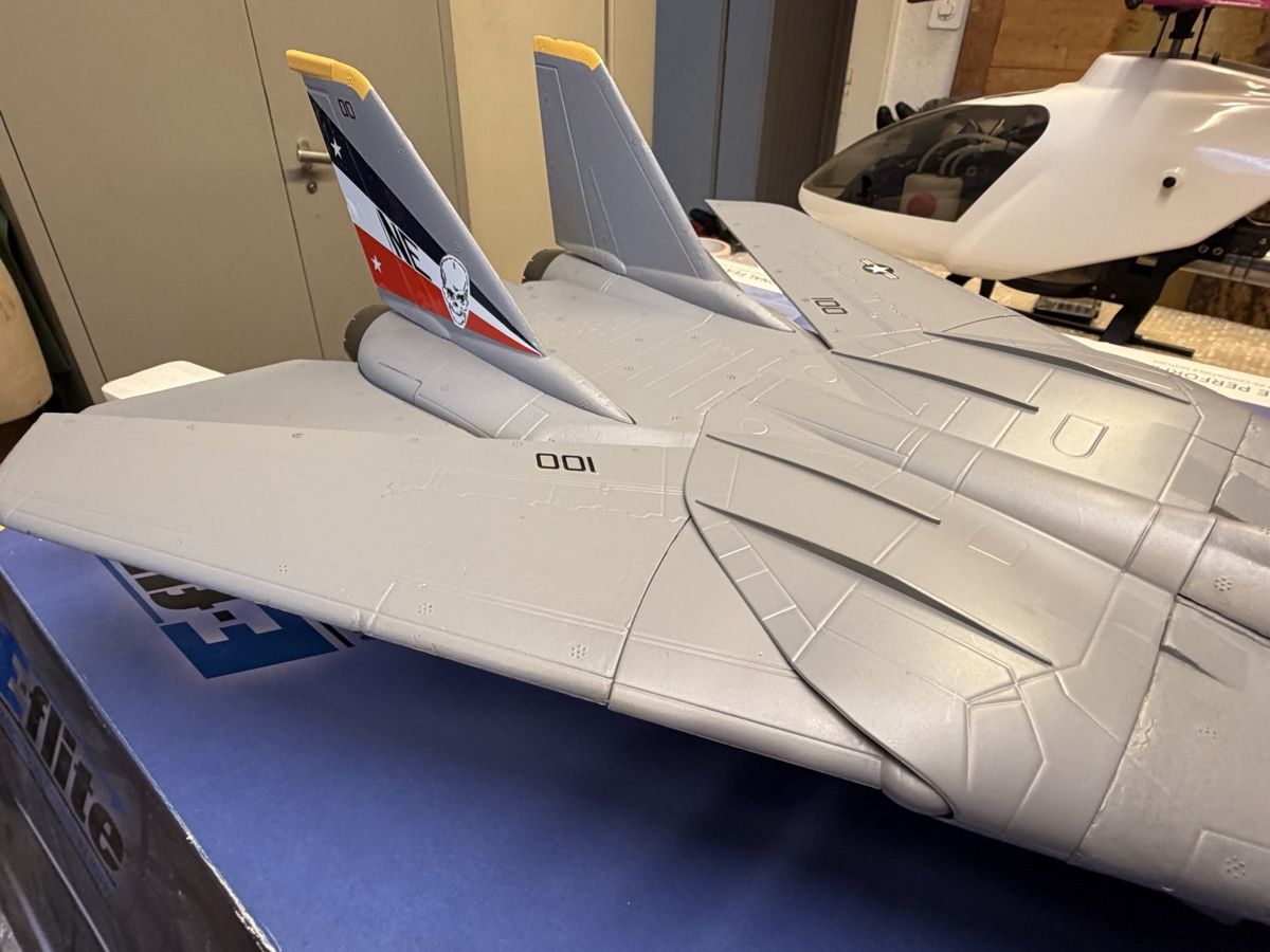 E-Flite Modellismo RC: F14 E-flight – Difettoso da Chêne-Bougeries venduto da Varioskyfox1982