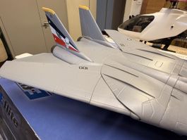 F14 E-flight