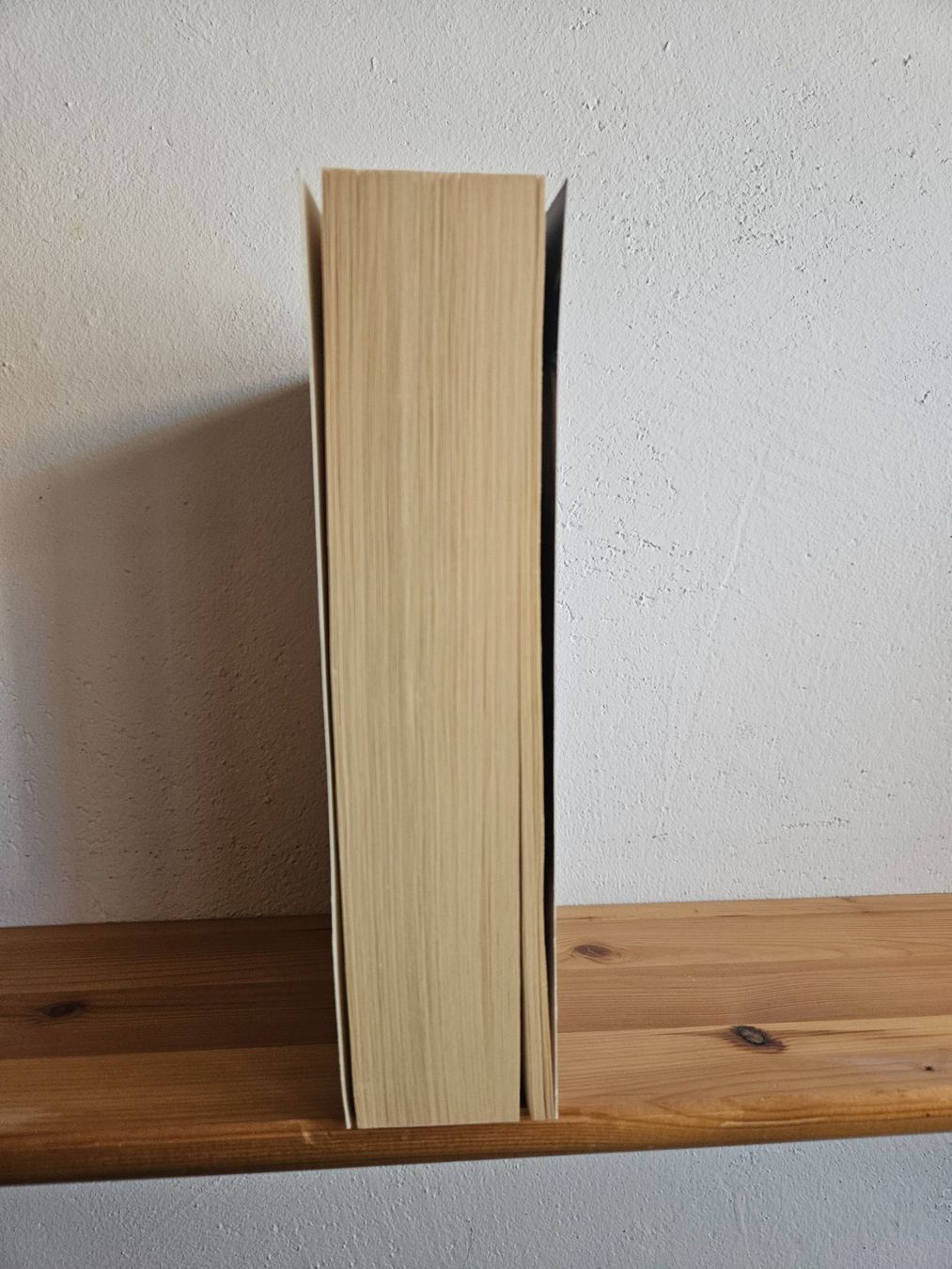 Libri: The Paying Guests, Sarah Waters – Usato da Effretikon venduto da Pia_69b5 3