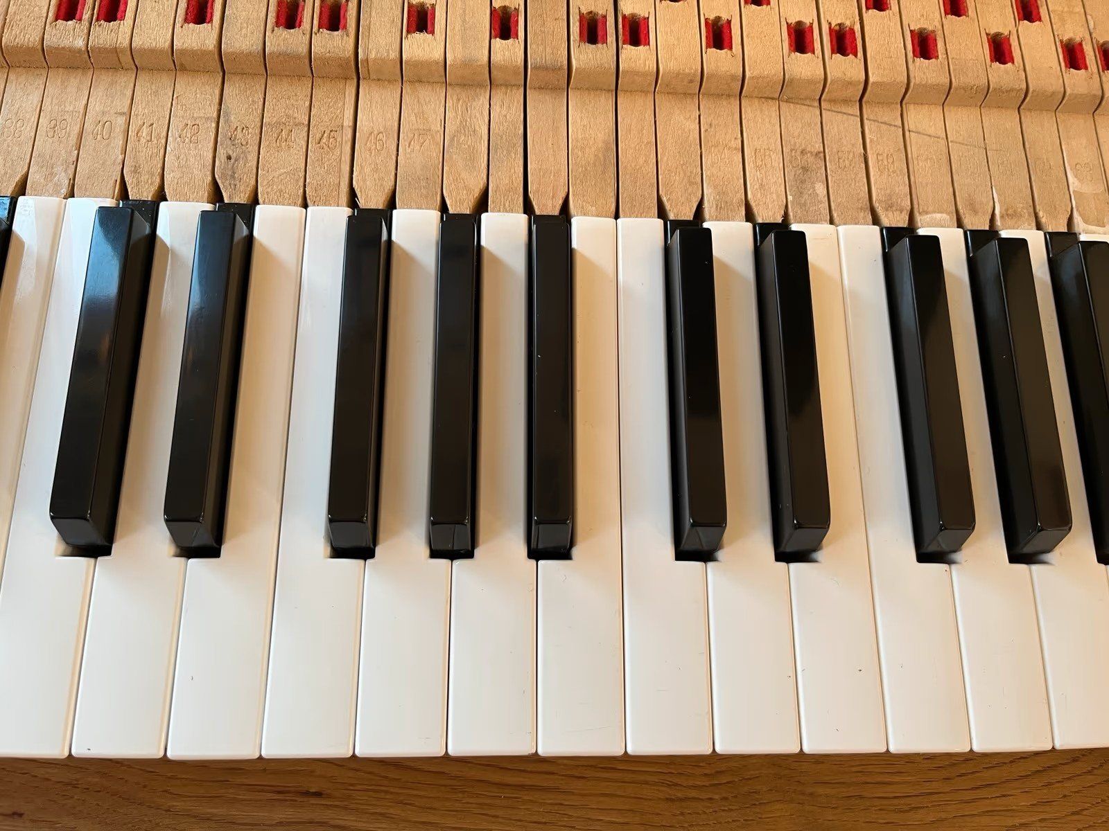 Rhodes Strumenti musicali: Fender Rhodes Mark 1 73 Keys, Tasten – Usato da Villigen venduto da chriwo 5