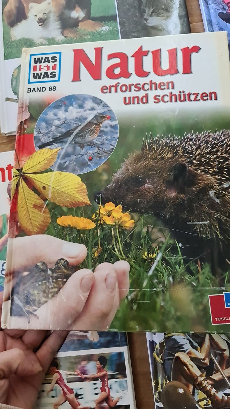 Libri: was ist was bücher set – Usato da Wittenbach venduto da Tigerlili 5