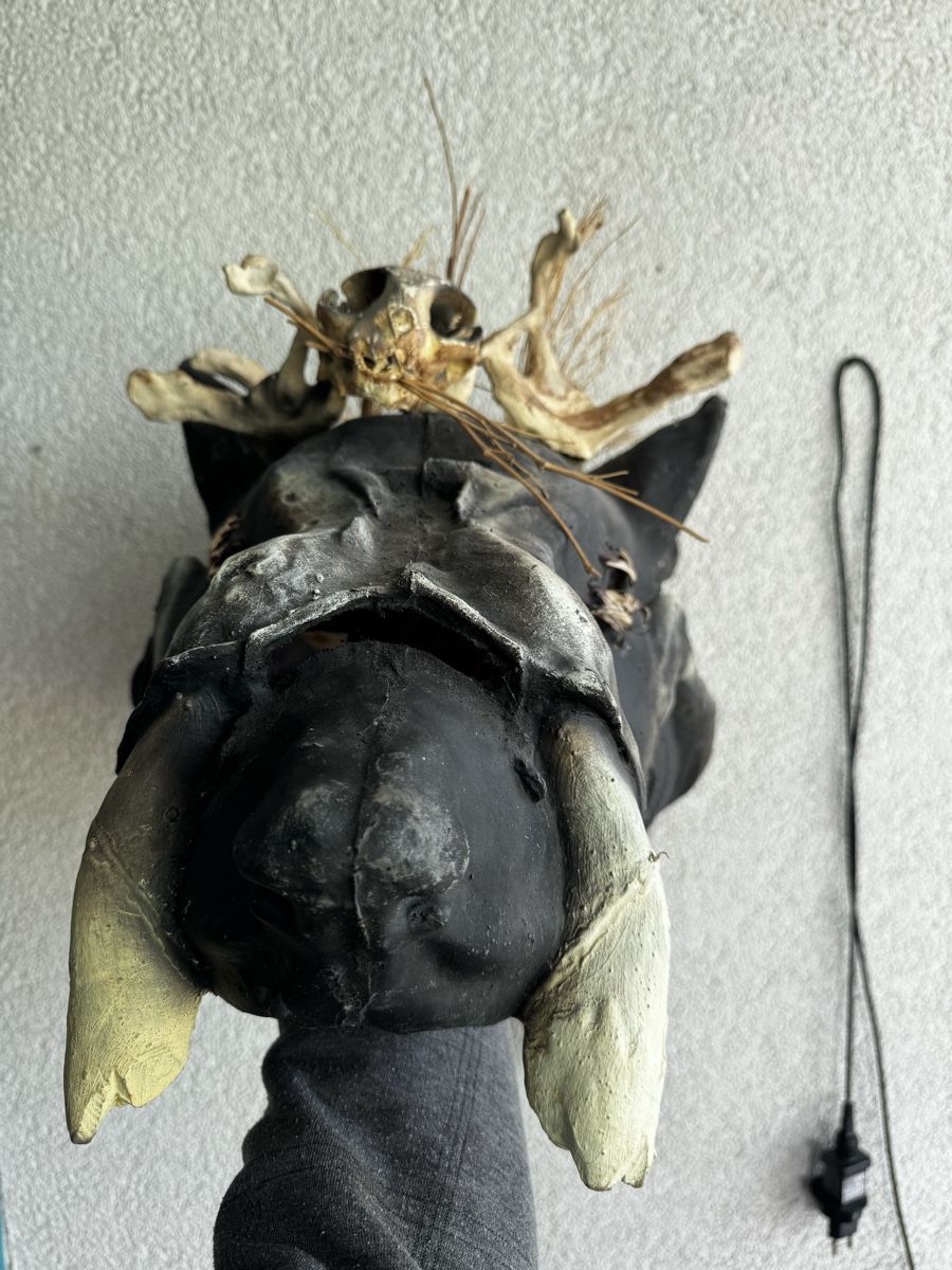 Maschere: Fasnachts-Maske (Grind) – Usato da Ebikon venduto da lord_mordoc 1