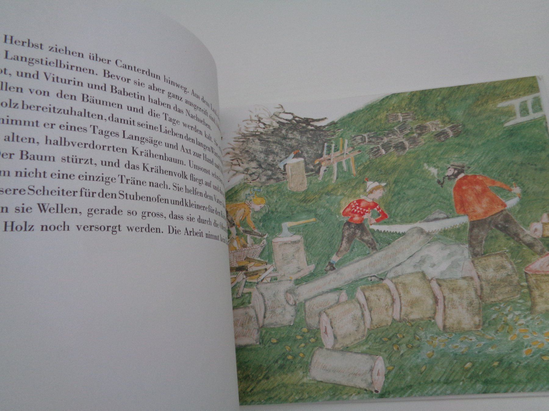 Libri: Birnbaum Birke Berberitze A. Carigiet – Usato da Chur venduto da omonia 7
