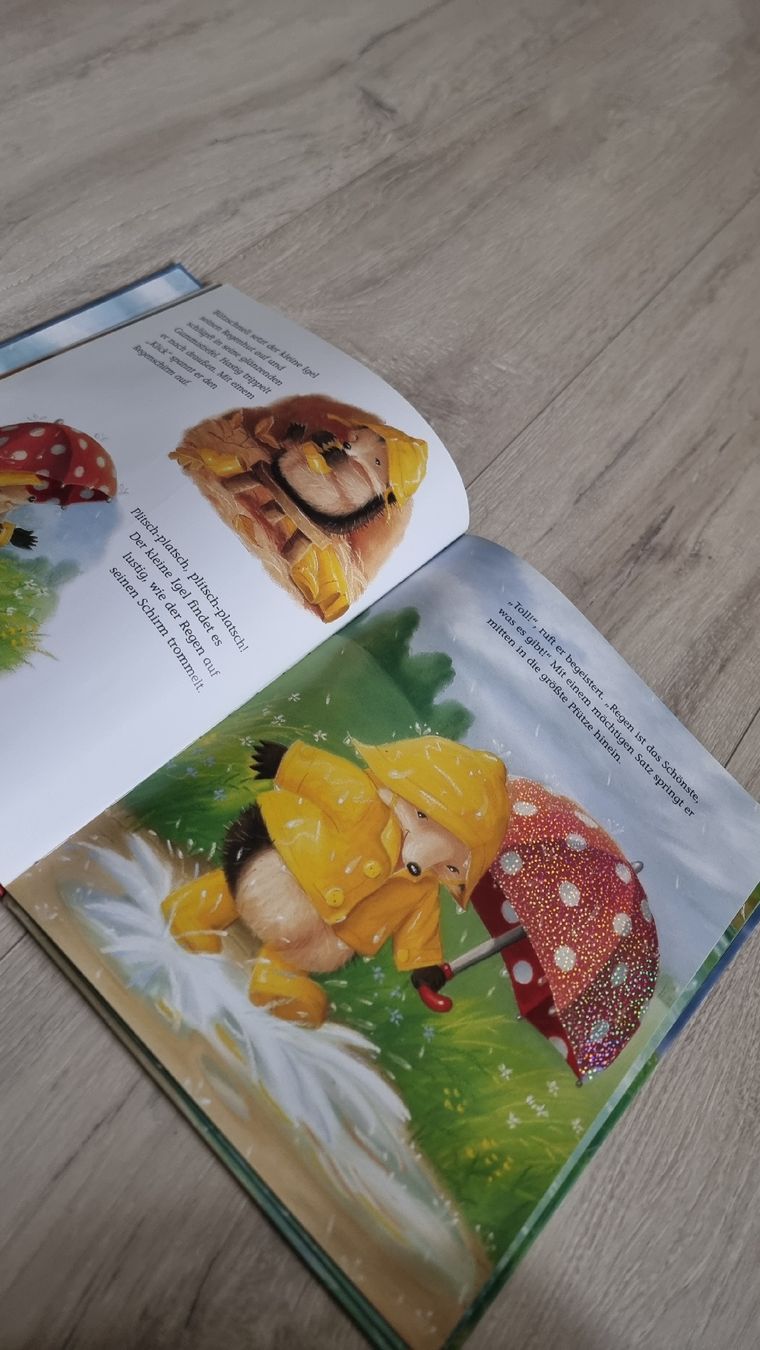 Bücher: Kinderbuch: Der kleine Igel rettet seine Freunde. – Gebraucht aus Wigoltingen von Zuckerfee84 2
