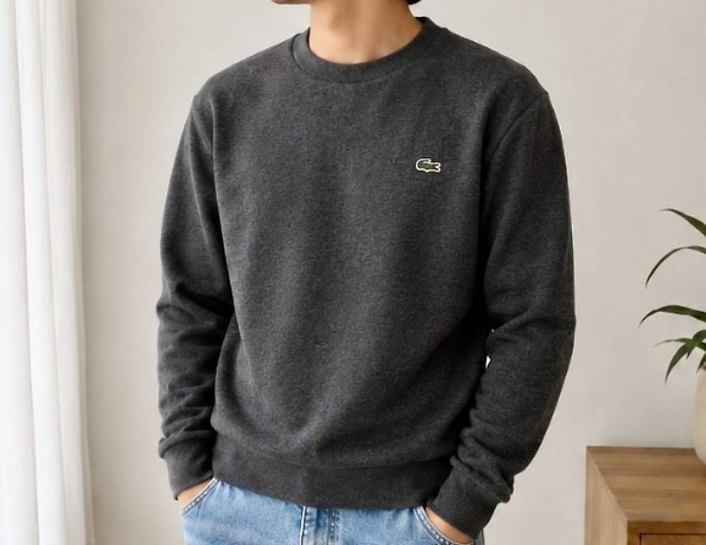 Pulls & Sweat-shirts: Pull Lacoste gris foncé  – Neuf avec emballage d'origine à Genève par gen_jd2g 1