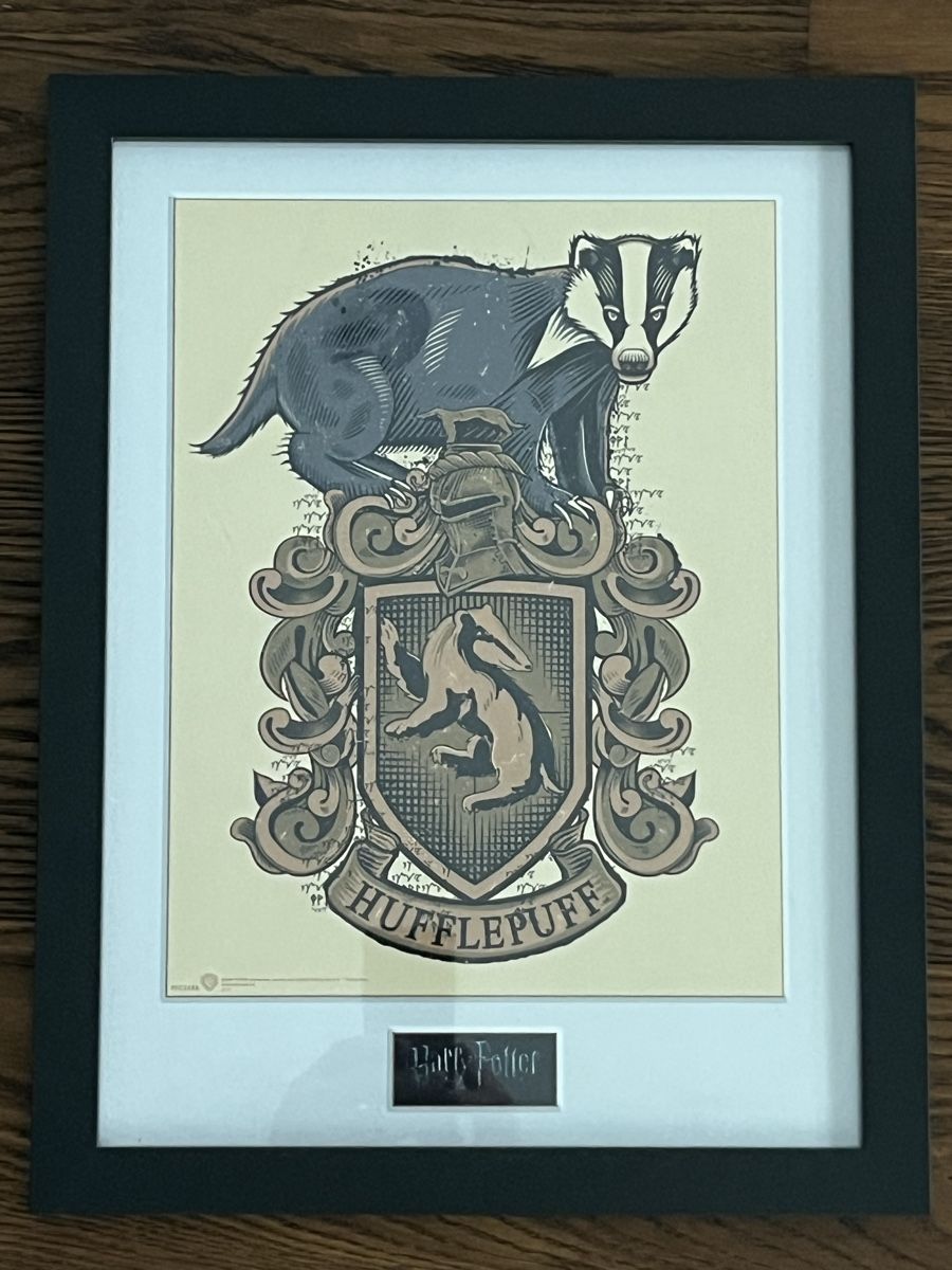 Foto & Immagini: Bild Harry Potter Hufflepuff – Usato da Lachen SZ venduto da Coopersz