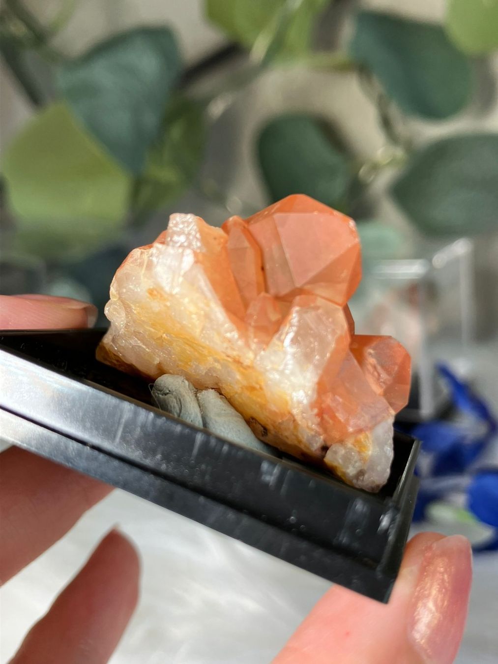 Minerali & Pietre curative: Tangerine Quarz-Cluster – Usato da Neuheim venduto da m.hald 1