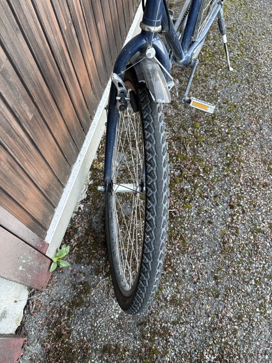 Biciclette: Fahrrad Basilisk Jucker – Usato da Richterswil venduto da Martin01016 3