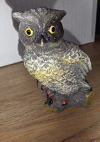 Eule Figur Naturstein wunder schön mit den Gelbe Auge 