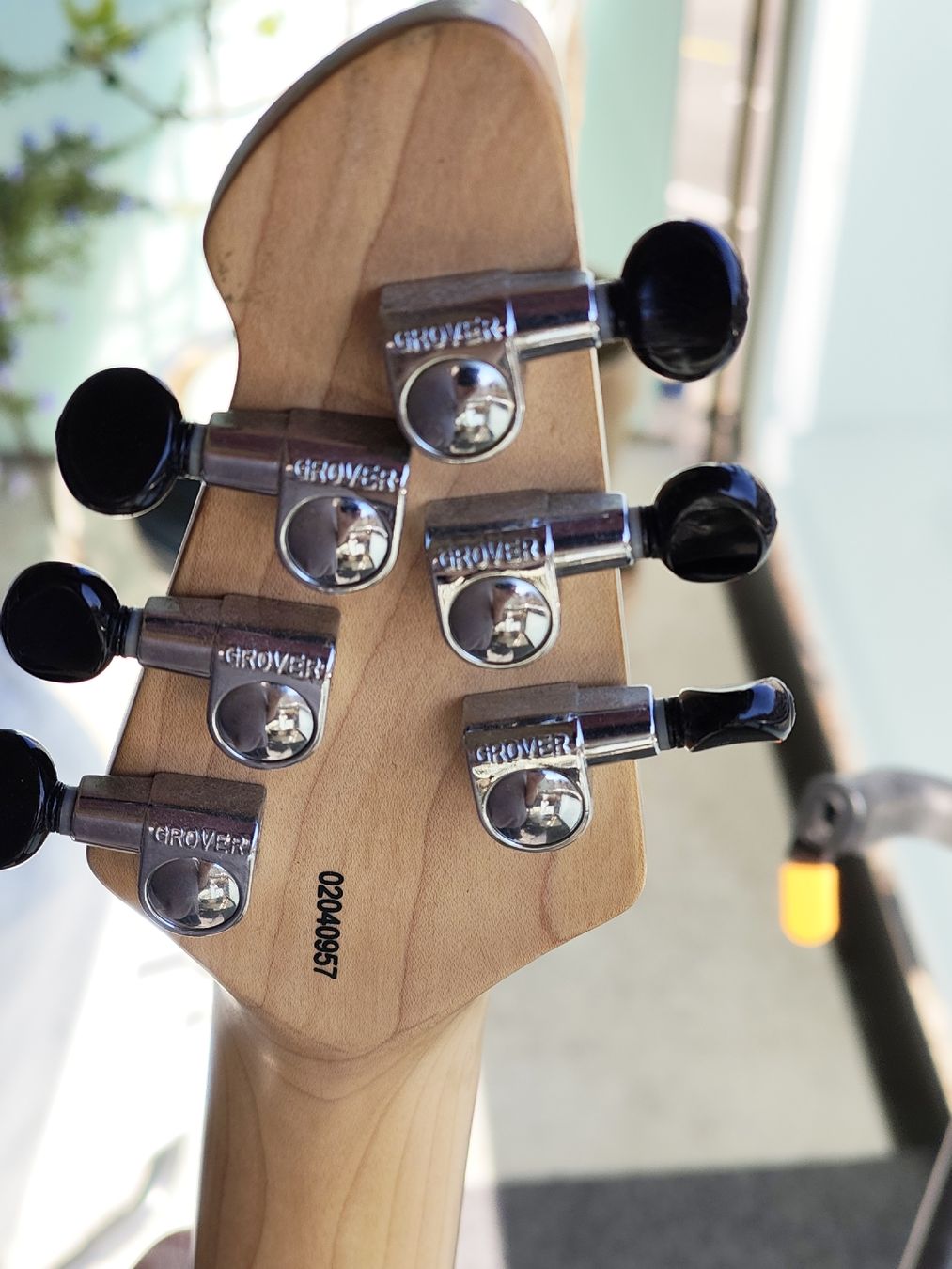 Peavey Strumenti musicali: Peavey EVH Wolfgang Special EXP – Usato da Vevey venduto da kerouac 5