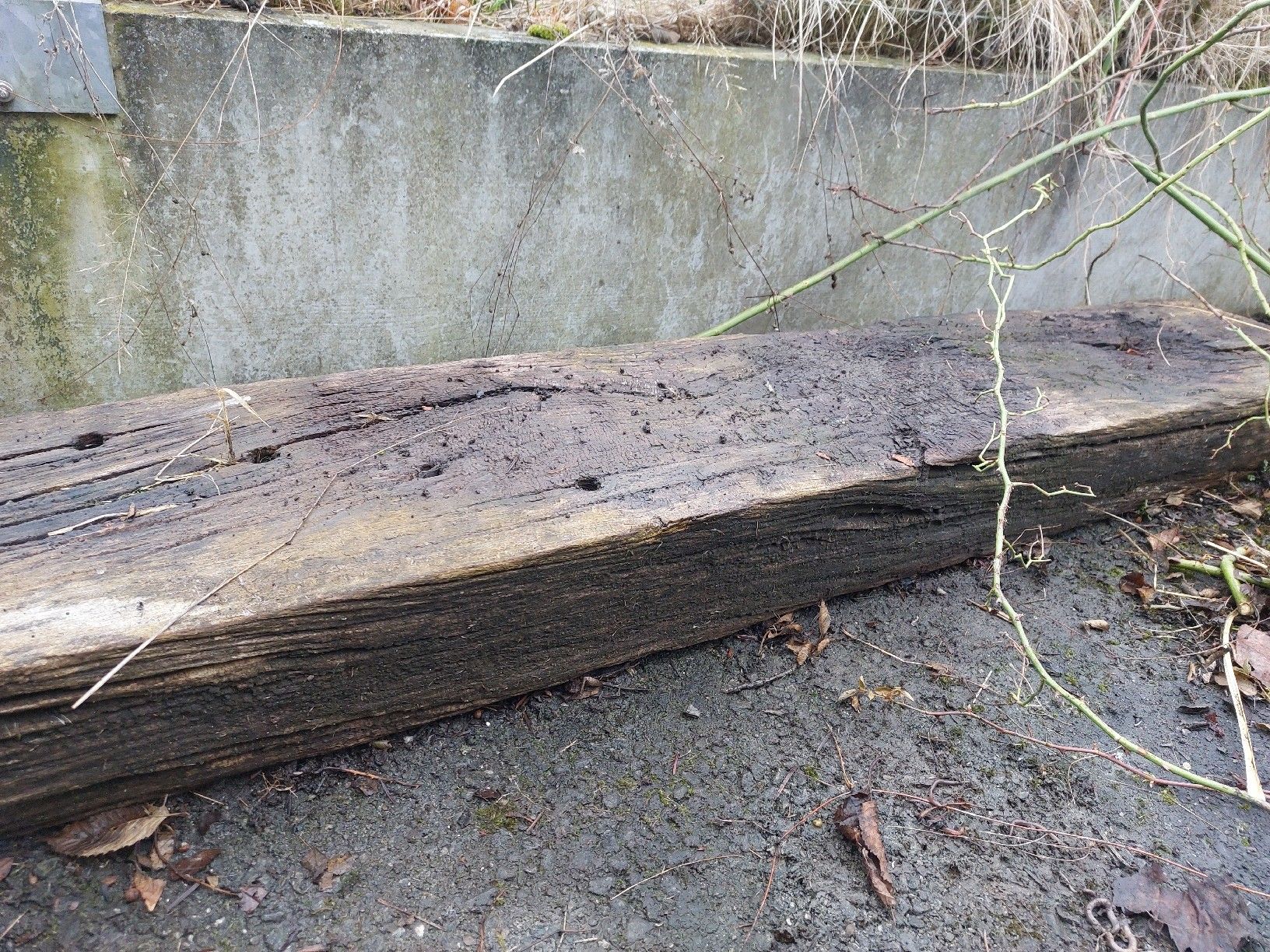 Articoli in legno: holz balken – Usato da Diepoldsau venduto da Tiaraa1 2