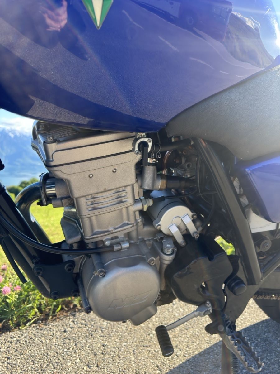 Mz (Muz) Strada: MZ RT125 2008 11kw – Usato da Grattavache venduto da BCDN 3
